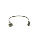Sensor de detonaciones