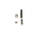 Juego de correas dentadas