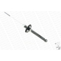 Amortiguador MONROE 251009RM