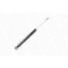 Amortiguador Monroe Original (Gas Technology)