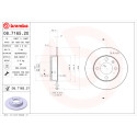 Juego de discos de freno BREMBO 08.7165.20