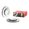 Juego de Discos de freno COATED DISC LINE