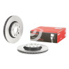 Juego de Discos de freno COATED DISC LINE
