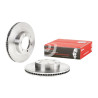 Juego de discos de freno BREMBO 09.A204.10
