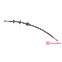 Tubo flexible de frenos