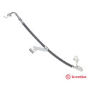 Tubo flexible de frenos