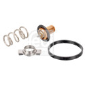 Termostato, refrigerante FEBI BILSTEIN 173111