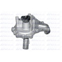 Bomba de agua DOLZ F204