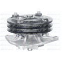 Bomba de agua DOLZ H208