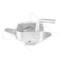 Radiador de aceite, aceite motor