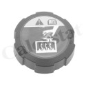 Tapón, depósito de refrigerante