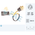 Interruptor de temperatura, ventilador del radiador