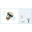 Interruptor FAE 63180