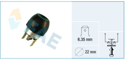 Interruptor FAE 633.10