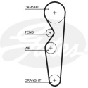 Correa dentada PowerGrip®