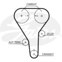 Correa dentada PowerGrip®