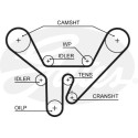 Correa dentada PowerGrip®