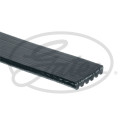 Correa trapecial poli V Micro-V® Horizon