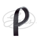 Correa trapecial poli V