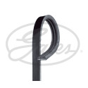 Correa trapecial poli V