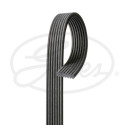 Correa trapecial poli V GATES 7DPK2884