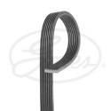 Correa trapecial poli V