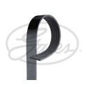 Correa trapecial poli V