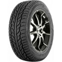 Neumático 255/60TR19 109T WEATHERMASTER WSC