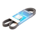 Correa trapecial poli V DAYCO 6 PK 1538 