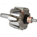 Rotor, alternador