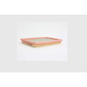 Filtro de aire STEP FILTERS AE374