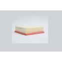 Filtro de aire STEP FILTERS AE40979