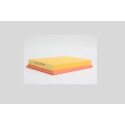 Filtro de aire STEP FILTERS AE6609