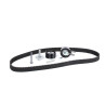 Juego de correas dentadas INA 530 0117 10