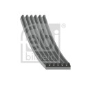 Correa trapecial poli V