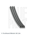 Correa trapecial poli V BLUEPRINT AD03R630BLU