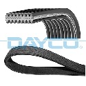 Correa trapecial poli V