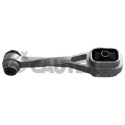Soporte, motor CAUTEX/FACET 20440