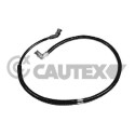 Tubería de radiador CAUTEX/FACET 35000