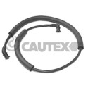 Tubería de radiador CAUTEX/FACET 36034