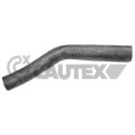Tubería de radiador CAUTEX/FACET 81050