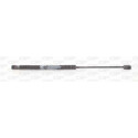 Muelle neumático, maletero/compartimento de carga OPEN PARTS GSR6021.00