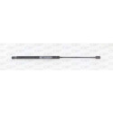 Muelle neumático, maletero/compartimento de carga