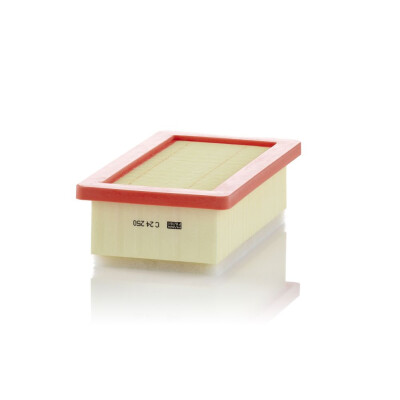 Filtro de aire MANN-FILTER C 24 250