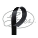 Correa trapecial poli V GATES 10PK2220HD
