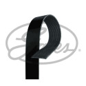 Correa trapecial poli V GATES 12PK1835HD