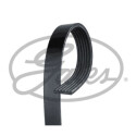Correa trapecial poli V GATES 6PK1660HD