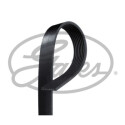 Correa trapecial poli V GATES 8PK1565HD