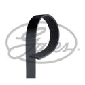 Correa trapecial poli V