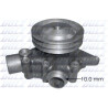 Bomba de agua, refrigeración del motor DOLZ R614